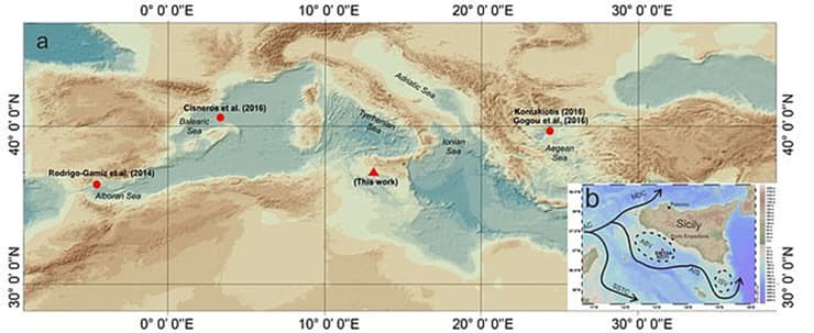 הים התיכון היה חם יותר בתקופת האימפריה הרומית דגימות חד-תאים
