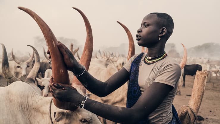 צעירה מונדרית מורחת את קרני הפרה בבוץ גללים