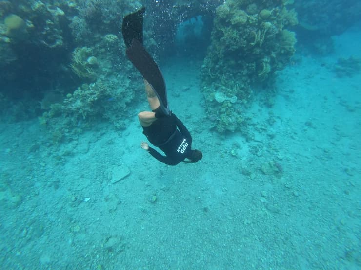 הפקחית מור אוחנונה צוללת בשמורת האלמוגים