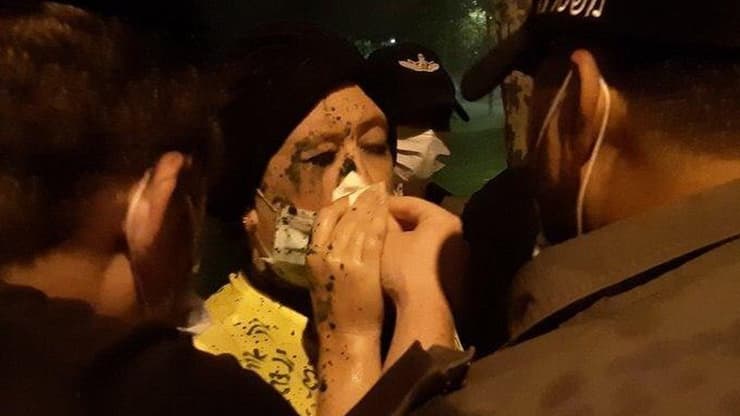 מריה אסטרייכר הותקפה בהפגנות בבלפור