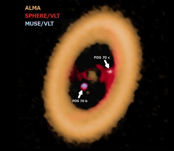  הטבעת הגדולה היא דיסקת הכוכב PDS70, בתוכה שני כוכבי הלכת שלו, והדיסקות הקטנות שמהן נוצרו כנראה ירחיהם