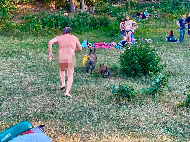 נודיסט באגם בברלין, שתמונתו רץ אחרי חזירים שחטפו את התיק שלו זכתה לפרסום ב-2020