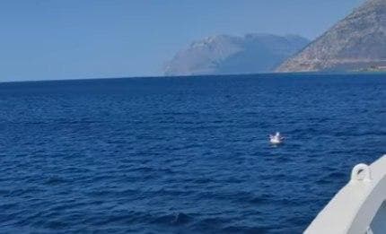 יוון ילדה בת 4 צפה על חד קרן בלב ים