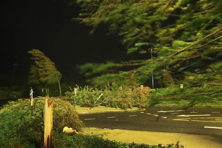 ארה"ב סופה הוריקן לורה עצים עקורים ב לייק צ'רלס לואיזיאנה
