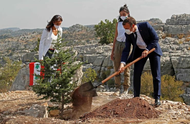 "מאמין בעתיד לבנון". מקרון נוטע עץ ארז ליד ביירות