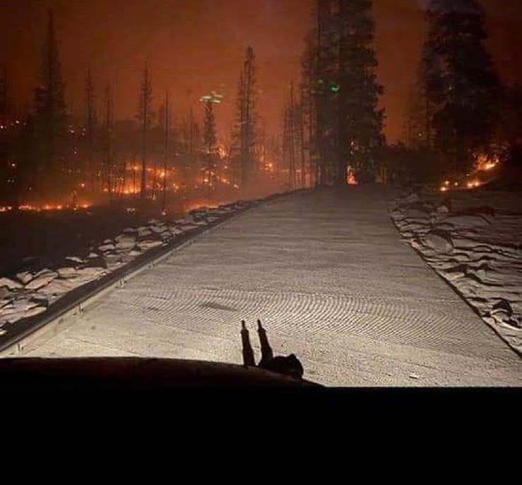 חילוץ מטיילים מ שריפה שריפת יער באזור פרנזו קליפורניה ארה"ב