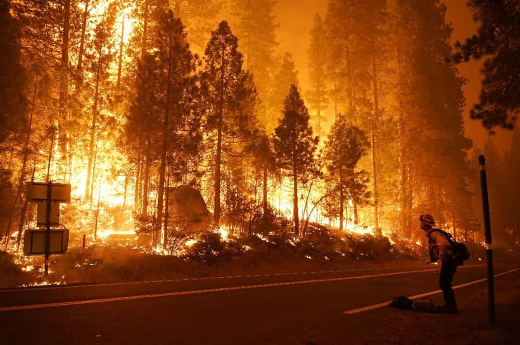 שריפה שריפת יער פעולות כיבוי  באזור פרנזו קליפורניה ארה"ב