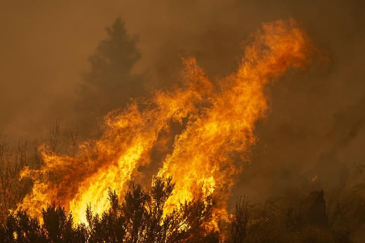 שריפה אש ב אזור לוס אנג'לס קליפורניה ארה"ב
