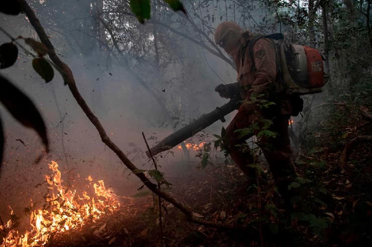 ברזיל פנטנאל פנטנל שריפות אש האח הקטן של האמזונס