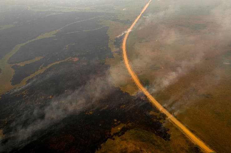 ברזיל פנטנאל פנטנל שריפות אש האח הקטן של האמזונס