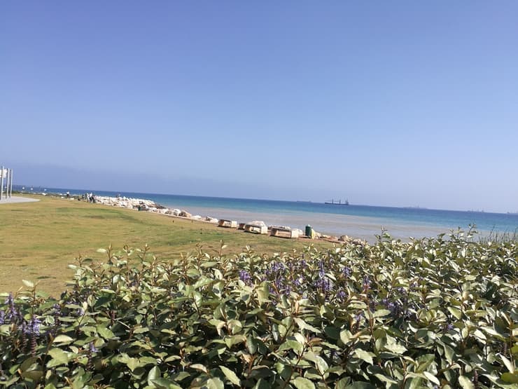 חוף בחיפה