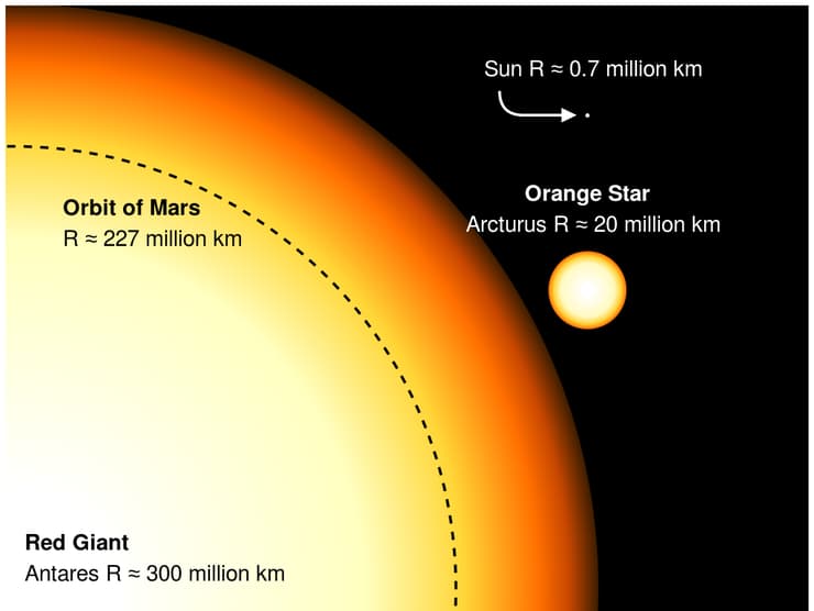 השמש היא נקודה זעירה ביחס לגודלו של הכוכב אנטארס