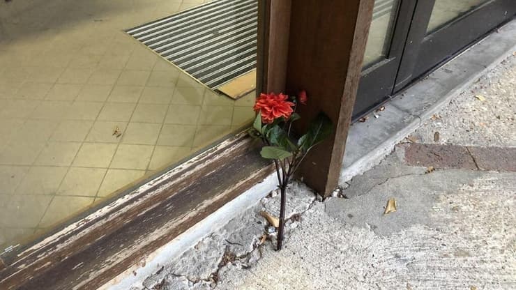 פרח הונח בפתח כיתתו של המורה שנרצח בצרפת