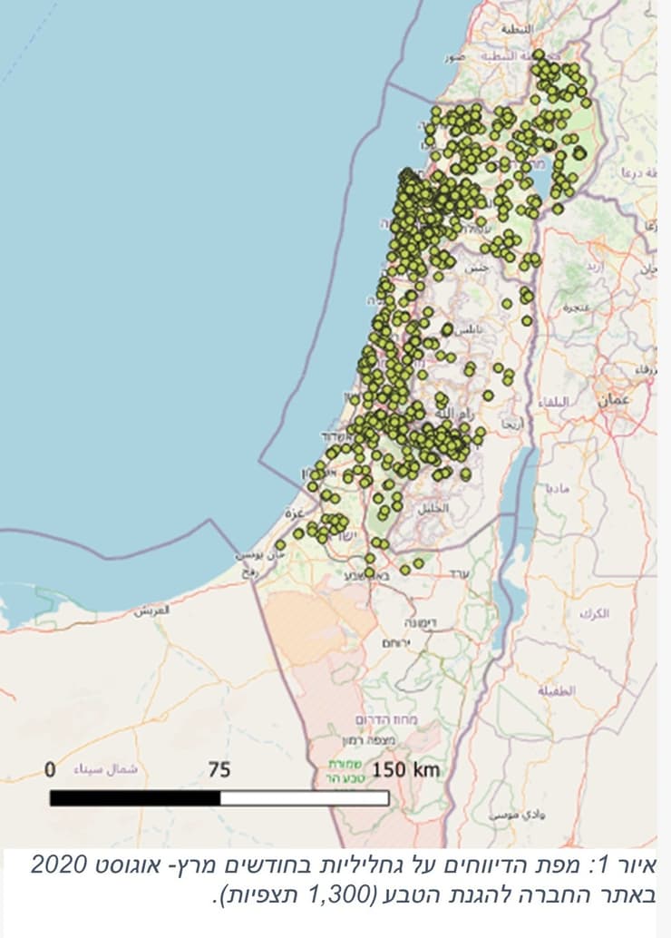 מפת דיווח על הגחליליות בחודשי מרץ-אוגוסט 2020