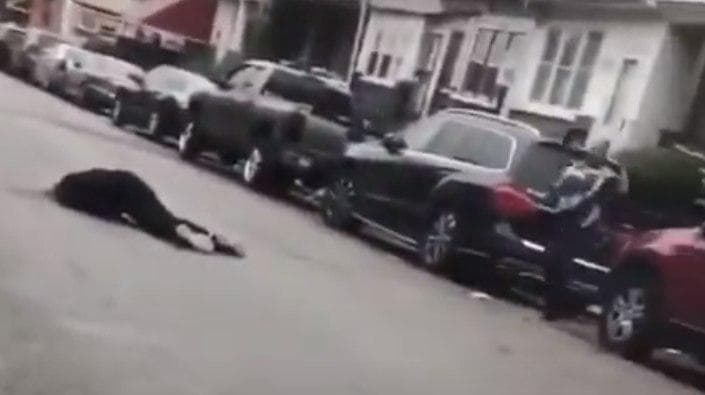 ארה"ב פילדלפיה ירי ב צעיר שחור וולטר וואלאס על ידי שוטרים