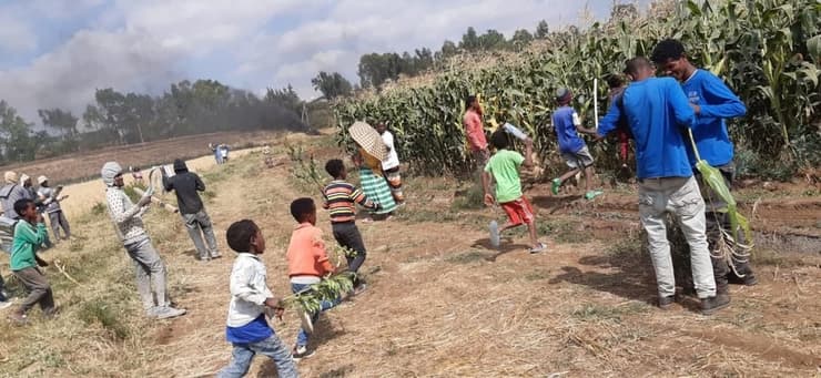  שדה חקלאי באתיופיה