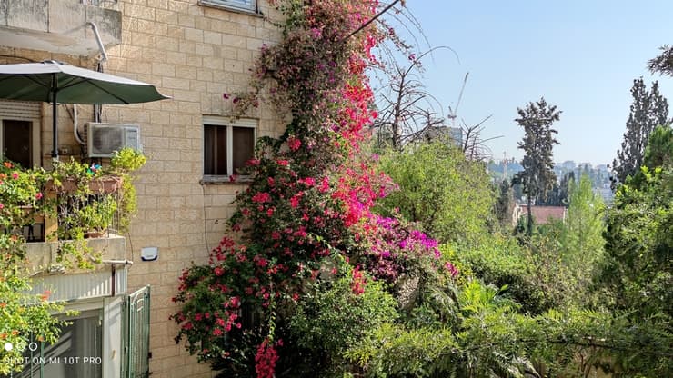 שיאומי Mi 10T Pro