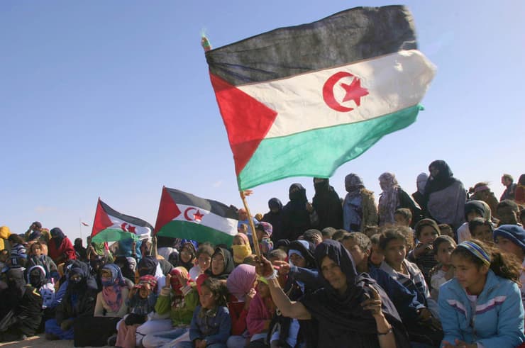 מרוקו סהרה המערבית מניפים את דגל הרפובליקה הדמוקרטית של סהרה המערבית