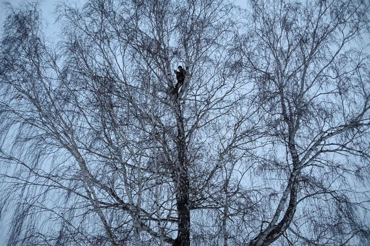 סטודנט מ סיביר מטפס על עץ כדי ללמוד מרחוק ב אוניברסיטה רוסיה