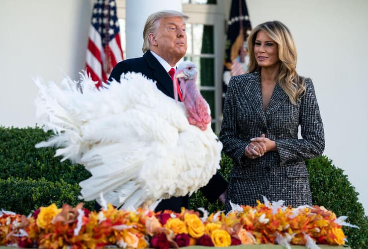 דונלד טראמפ טקס לקראת חג ההודיה הבית הלבן חנינה ל תרנגול הודו ארה"ב