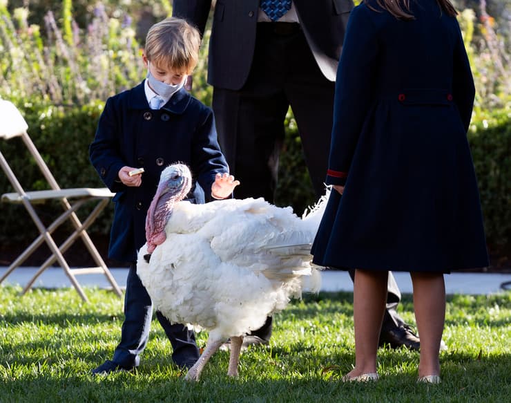 תאודור בנם של איוונקה טראמפ ו ג'ארד קושנר עם תרנגול הודו טקס בבית הלבן