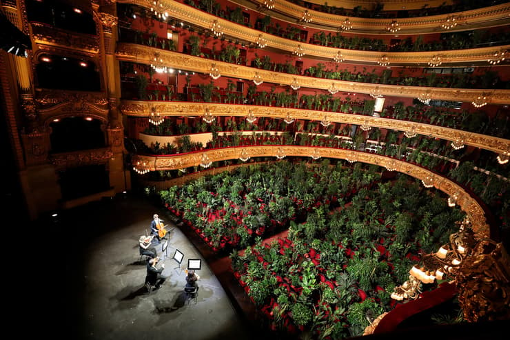 תמונות השנה בעולם של רויטרס אונצרט אופרה ל עציצים בזמן סגר ספרד ברצלונה