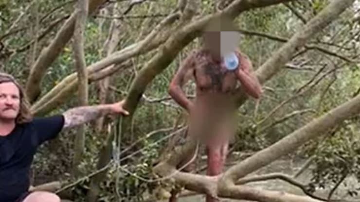 עבריין נמלט חולץ עירום מ ביצה שורצת תנינים ב אוסטרליה
