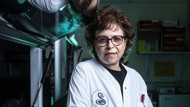 פרופ' מנדלסון במעבדת הנגיפים, השבוע. קיבלה חיסון נגד קורונה: ''עם דמעות בעיניים''
