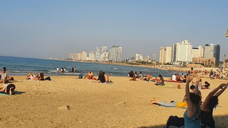 "חוף הכלבים" בתל אביב משך רבים