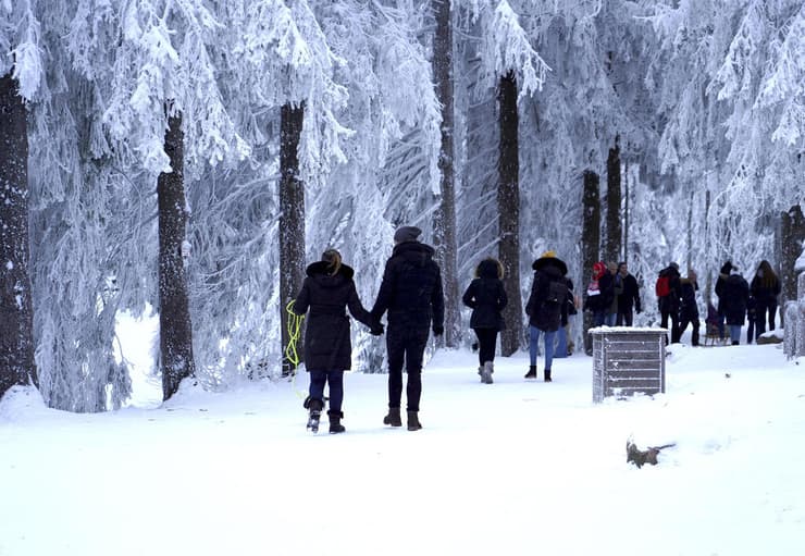 גרמניה שלג סערה סופה היער השחור