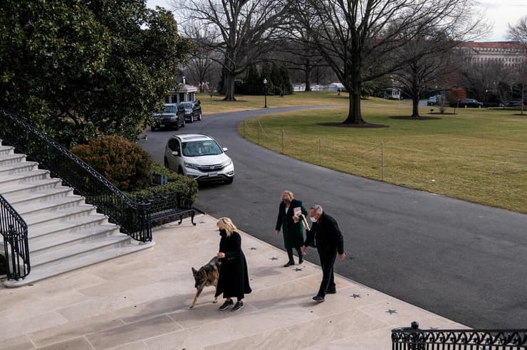 ארה"ב צ'אמפ כלב של ג'ו ביידן הגיע ל בית הלבן עם ג'יל ביידן