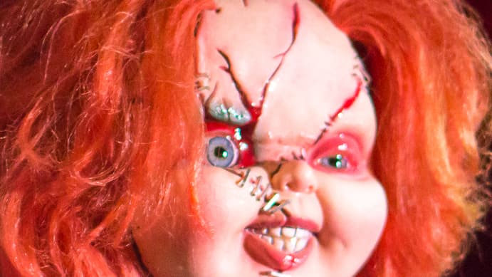 ארה"ב צ'אקי הבובה הרוצחת משחק ילדים הודעת נעדר בשוגג