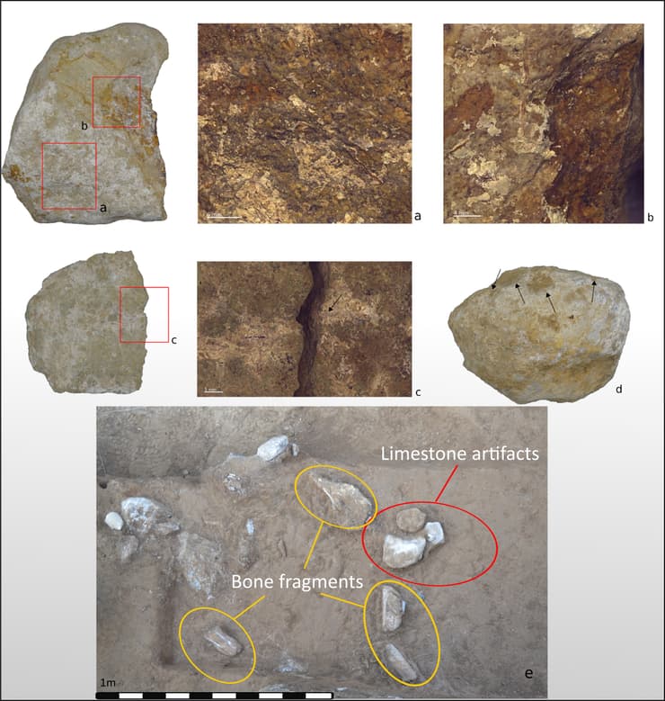 אבנים ועצמות בעלי חיים שנמצאו באתר