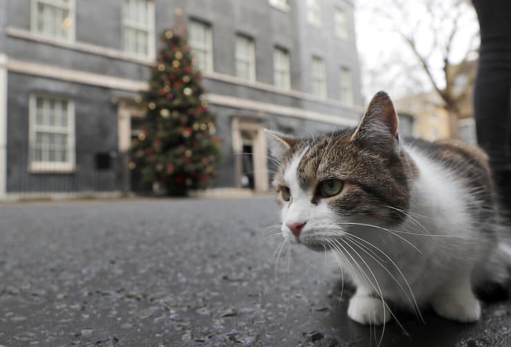לארי ה חתול של מעון ראש הממשלה ב בריטניה