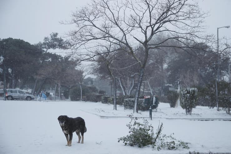יוון מזג אוויר קור שלג צפון אתונה