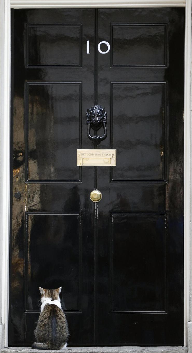 לארי ה חתול של מעון ראש הממשלה ב בריטניה