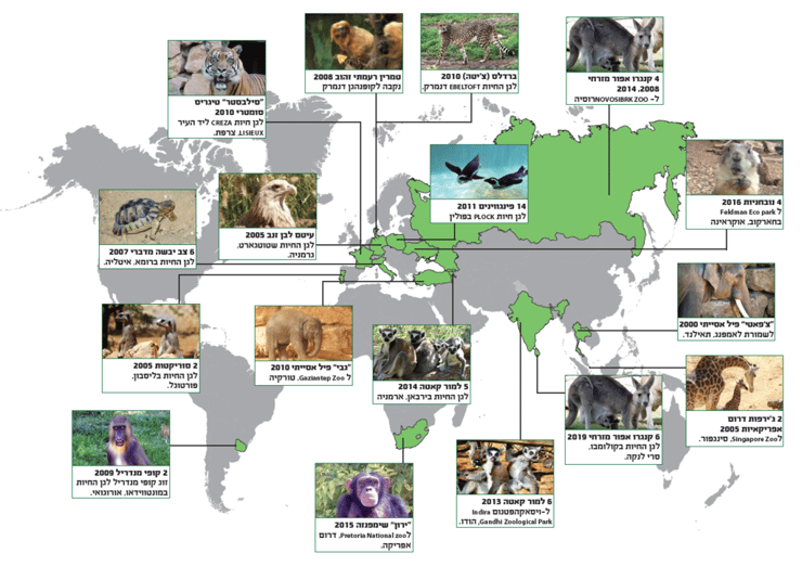 בעלי החיים מגן החיות התנ"כי שהגיעו למקומות שונים בעולם