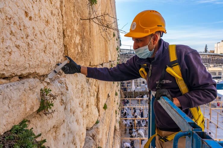 בכותל המערבי בירושלים - דואגים לבריאות הכותל