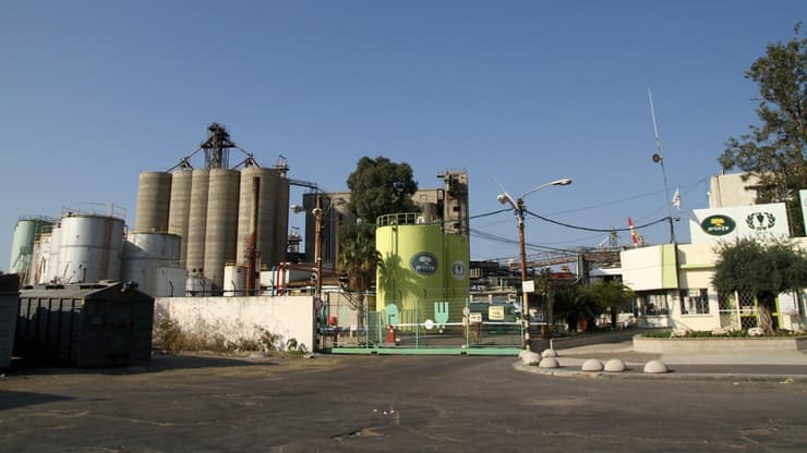 מפעל שמן עץ הזית בחיפה