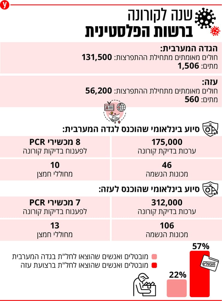 אינפו שנה לקורונה הפלסטינית