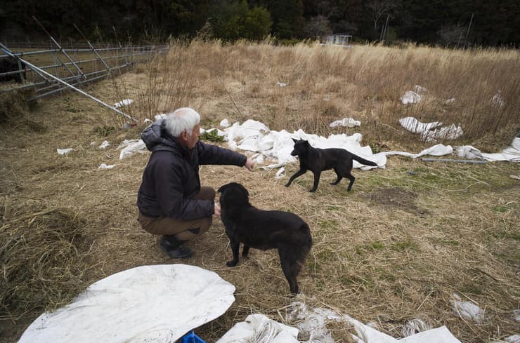 חקלאי מהעיירה טומיוקה באזור האסון אסון גרעיני פוקושימה יפן