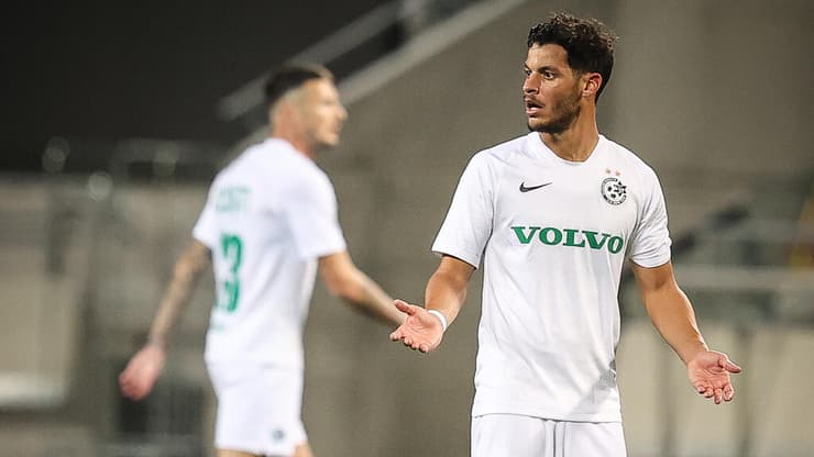 יחזור לפעילות. מנחם (צילום: עוז מועלם) סאן מנחם