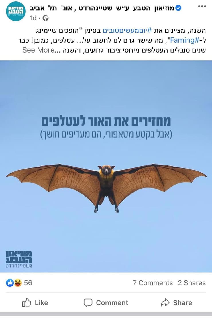 מוזיאון הטבע עושה פיימינג לעטלפים