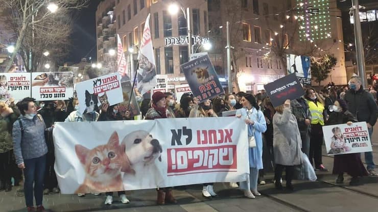הפגנה למען זכויות בעלי חיים בירושלים