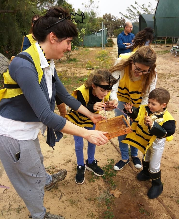 מכוורת משק לין