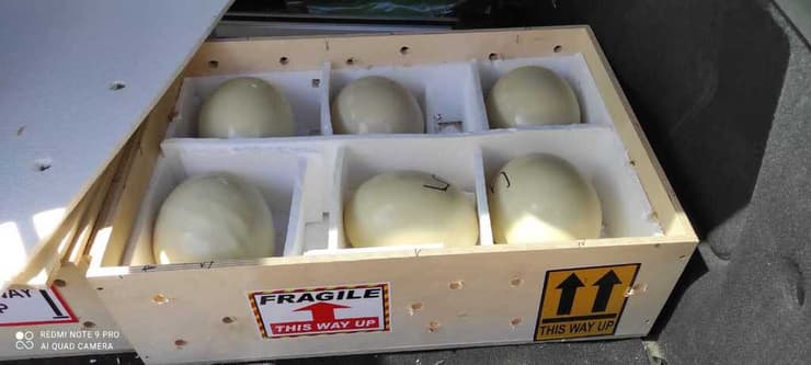 הביצים בארגז בדרך לסנגל