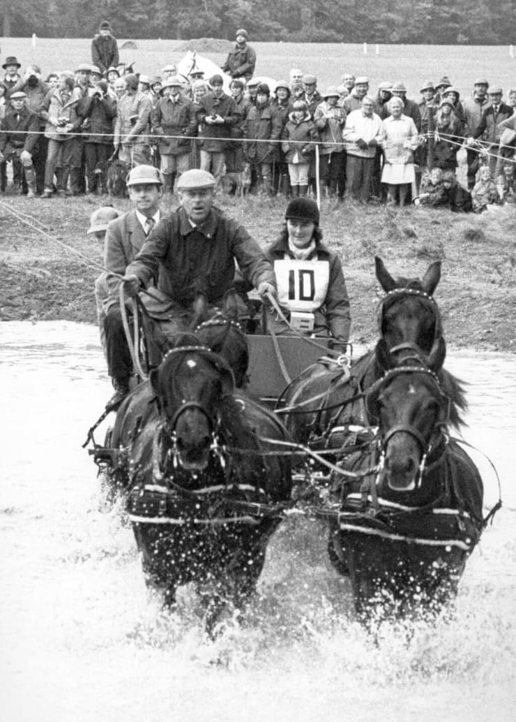  משתתף במרוץ סוסים ב-1984 