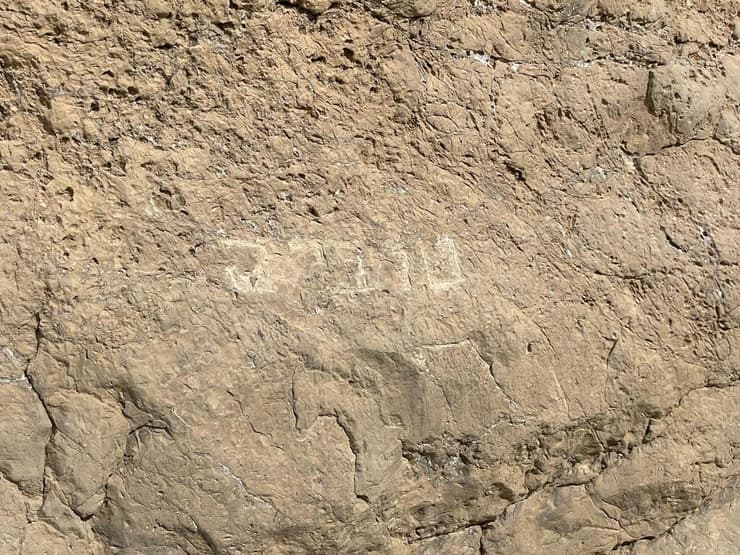 שמו החקוק של טוביה קושניר בסלע בנחל ערוד