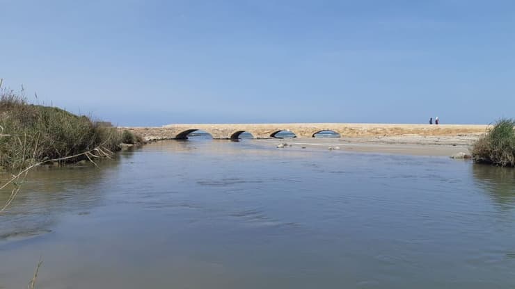 גשר וילהלם בנחל תנינים