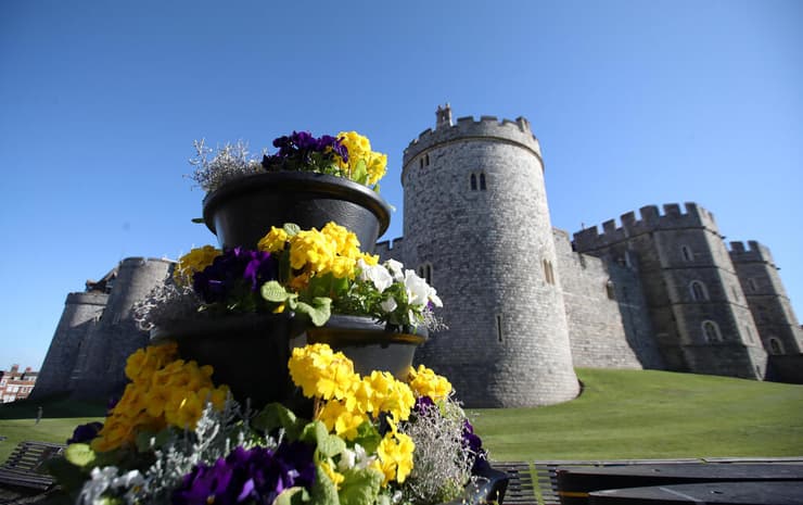 פרחים מחוץ לטירה בת 950 השנים